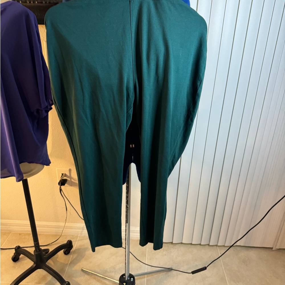 Pants by women with control Renee Greenstein. Emerald Green color stretchy 2xp